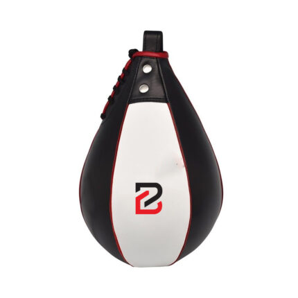 Boxing Speed Bag